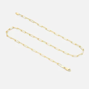 A chain with a gold colored link and a clasp.