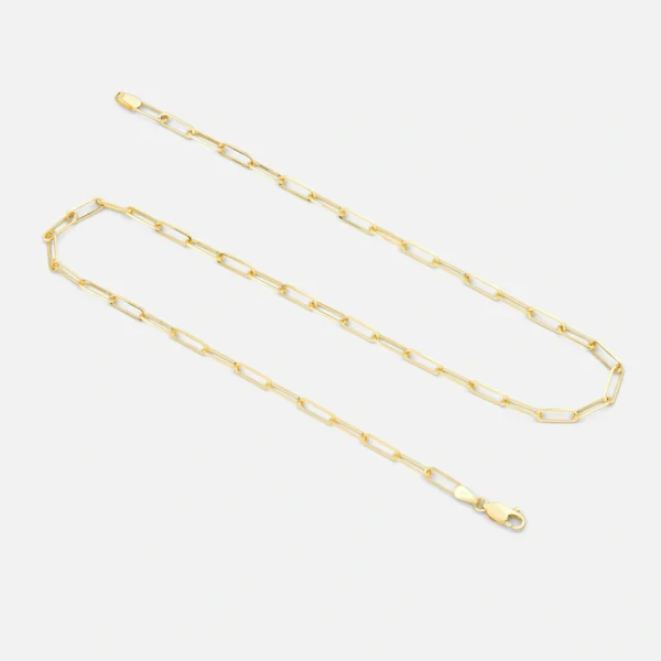 A chain with a gold colored link and a clasp.